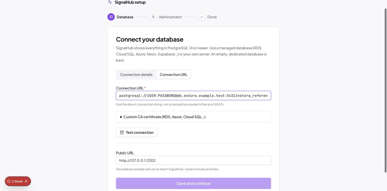 Setup wizard: connection URL tab